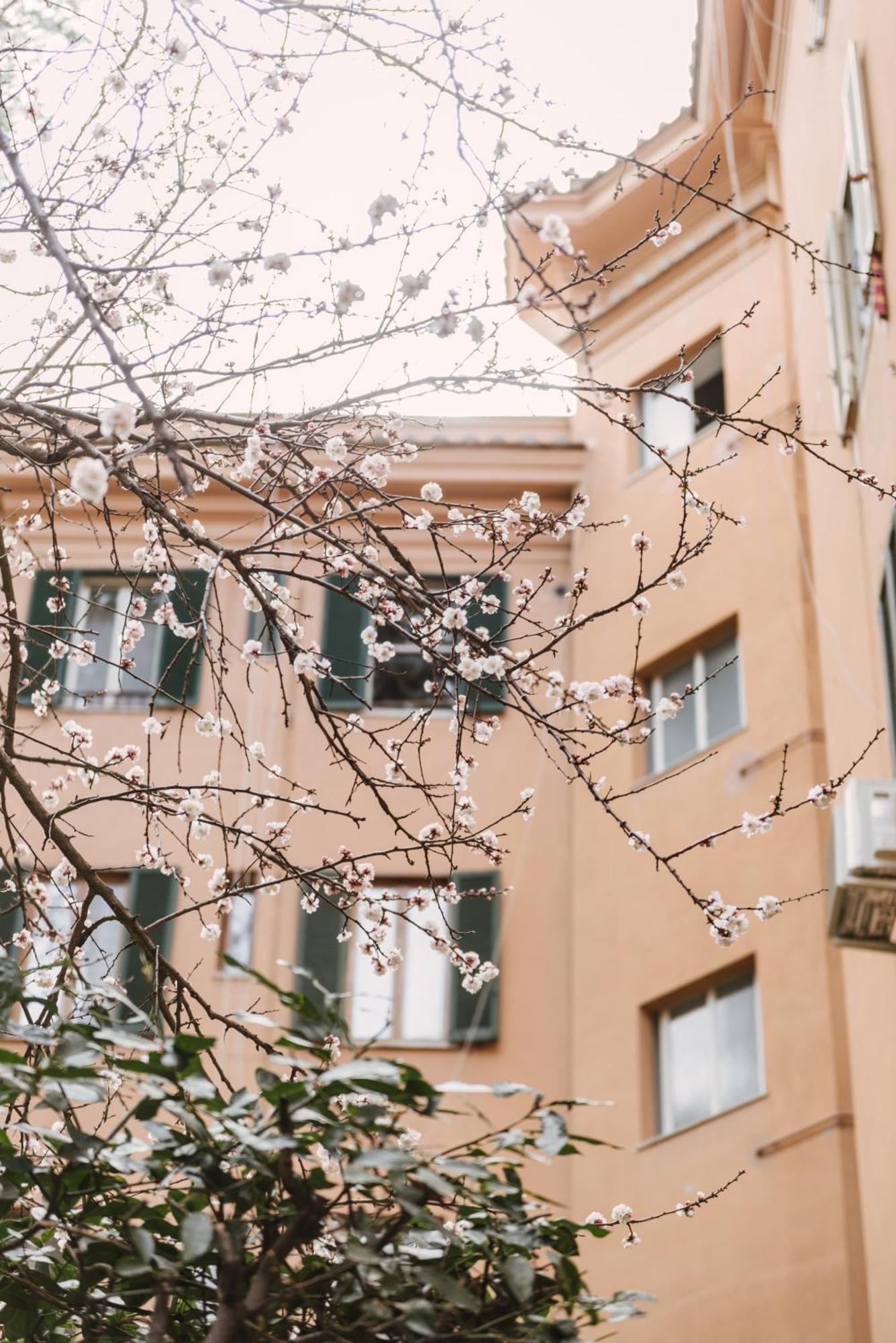 로마 Casa Riva 1920 아파트 외부 사진